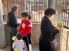 -石家庄市动物园