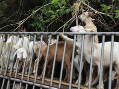 -楠溪江风景名胜区