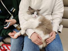 -美联众合动物医院·24h转诊中心