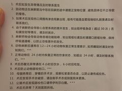 注意事项-纳吉亚猫专科动物诊疗中心(蒋宅口分院)