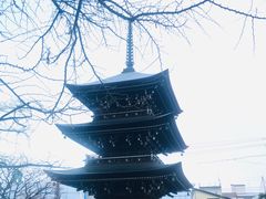 -医王山·飞騨国分寺