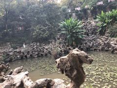 -伯先公园