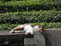 -敬亭山风景名胜区