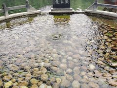 -百脉泉景区