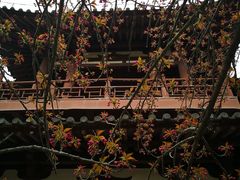 -西安青龙寺遗址景区