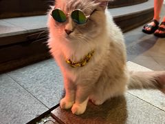 -泥糊破店小酒馆·团建聚餐(南京西路店)