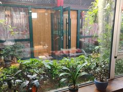 -慢丽江·云南野生菌土鸡锅(付家庄店)