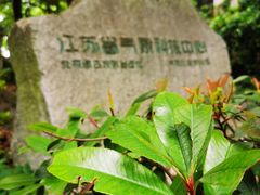 -北极阁公园