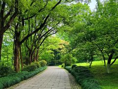 -杭州植物园