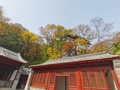 -北京上方山国家森林公园
