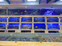 水产区-渔家海鲜舫(宝湖路店)