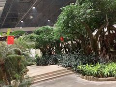 -鲁西南记忆温泉水世界