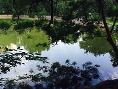-四海公园(南山区)