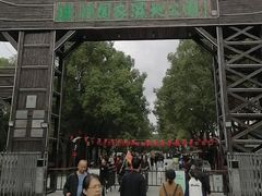 -溱湖国家湿地公园