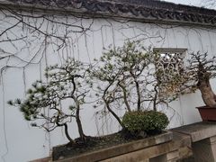 -拙政园