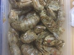 椒盐濑尿虾-渔民新村(番禺总店)