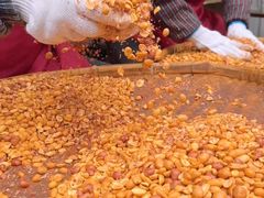 -镇江龙·火锅串串(武侯祠店)