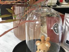 -red donkey coffee