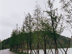 -东湖落雁景区