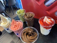 -萨朗刀克冰淇淋雪花凉(植物园店)