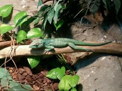 -上海昆虫博物馆