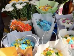-曲阳花鸟市场(曲阳路店)