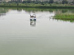-玉龙沙湖景区