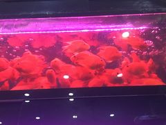 -双季花艺园艺市场(浦东店)