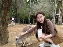 -可伦宾野生动物保护区