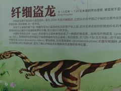 -自然谷恐龙园