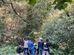 -火炉山森林公园