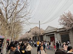 -天津五大道文化旅游区