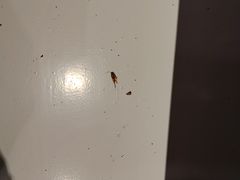 -星辰酒店公寓(会展中心地铁站店)