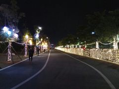 -琅岐红光湖公园