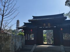 -江心屿景区
