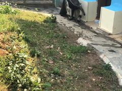 -无锡动物园·太湖欢乐园