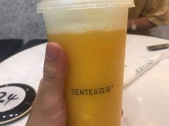-SENTEA森茶(麦地丽日店)