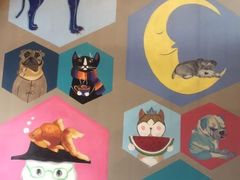 -MOLLY'S萌宠生活馆