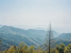 -莫干山风景区