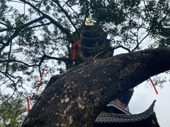 -灵岩山风景区
