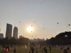 -莲花山公园