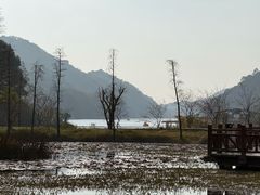 -广州市石门国家森林公园