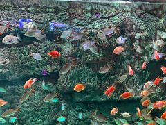 -威海华夏城景区