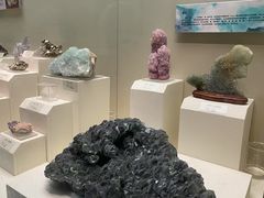 -天津自然博物馆
