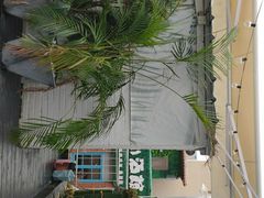 -Eckl’s爱氏热狗(猫街店)