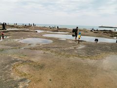 -日照灯塔风景区