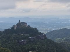 -金鱼妈妈 山野·食趣(荫山街店)