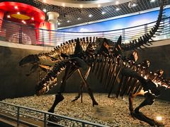 -国家自然博物馆