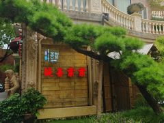 -叶叶菩提(太原别墅店)