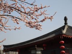 -大唐博相府酒店·陕西官府菜